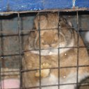 ���� �������, �������, 38 ��� - ��������� 28 ������ 2010 � ������ ������� �����!!!�