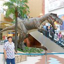 ���� �����, ��������, 62 ���� - ��������� 22 ���� 2013 � ������ ���� ����������