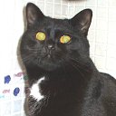 ���� ��������, ������, 73 ���� - ��������� 5 ������� 2012 � ������ ���� ����������