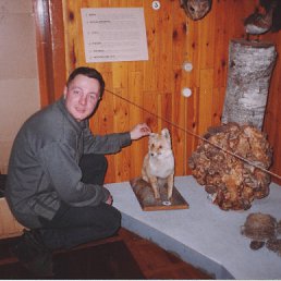 ���� �������, �����-��������� - ��������� 18 ����� 2010