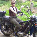  , , 41  -  29  2010      (2010)