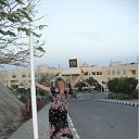 ���� �����, �������, 56 ��� - ��������� 29 ��� 2011 � ������ ���� ����������