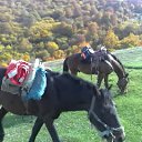 ���� Davit, �������, 63 ���� - ��������� 10 ������ 2011