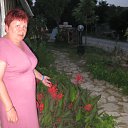  , , 68  -  4  2010   -2010