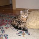 ���� ��� ����� :D, ����� - ��������� 23 ������ 2012 � ������ ���� ����������