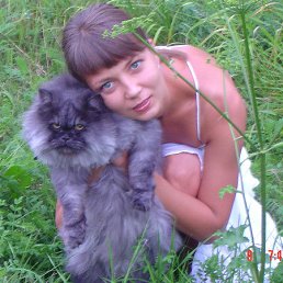 �������, ��������, 42 ����