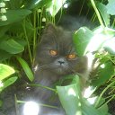  E.lena, , 62  -  13  2010    