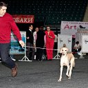 ���� ����, �����-���������, 70 ��� - ��������� 11 ������� 2012 � ������ ���� ����������