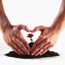  Elnur, , 37  -  23  2012