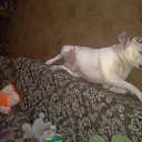 ���� �����, ������, 55 ��� - ��������� 7 ���� 2012 � ������ ���� ����������