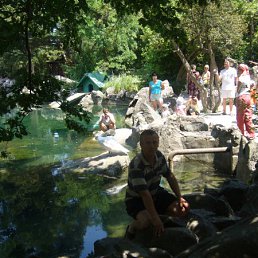 ���� �������, �������, 44 ���� - ��������� 1 �������� 2011