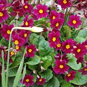 ���� ������, ������, 63 ���� - ��������� 5 ������� 2011 � ������ ������-���� �����....�