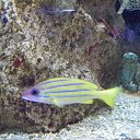 ���� ����, �����-���������, 57 ��� - ��������� 23 ������ 2011 � ������ �� �����������