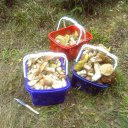 ���� Tina, �����-���������, 66 ��� - ��������� 18 ������ 2011 � ������ ���� �������, ������ ����� �������