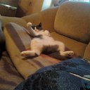  , -, 61  -  12  2012   