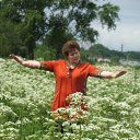 ���� ������, �����-��������� - ��������� 17 ���� 2012 � ������ ���� ����������