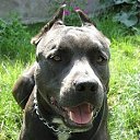 ���� ������, ������, 54 ���� - ��������� 19 �������� 2011