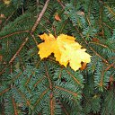 ���� �������, ������� - ��������� 11 ������� 2012 � ������ �������