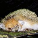 ���� ����. ��������� �� ��!, ������, 72 ���� - ��������� 30 ���� 2011 � ������ ������