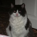 ���� ������, ��������� - ��������� 29 ������� 2010 � ������ ����...�