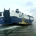  Serzh Van Der Maaremaan,  -  19  2009   KUBAN