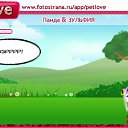  , , 45  -  26  2010   PetLove