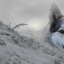 ���� �����, ��������, 34 ���� - ��������� 9 ���� 2011 � ������ �������