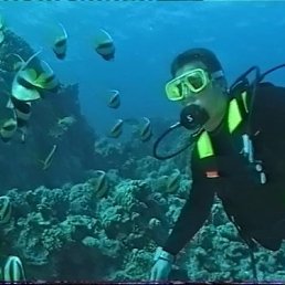 ���� �������, ������ - ��������� 20 ������� 2012