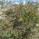 ���� Ksusha-fm, ��������, 54 ���� - ��������� 15 ������ 2010 � ������ ����������� ��������� ����