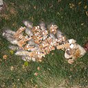 ���� ����� ��������, ������������, 38 ��� - ��������� 24 ������� 2012