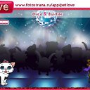  , , 48  -  19  2011   PetLove