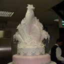  ,  -  25  2009     !