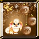 ���� ˸��, ����� - ��������� 13 ������� 2010 � ������ ������ "Gold Lady"�