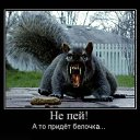 ���� ��������, �����, 44 ���� - ��������� 17 ������� 2012 � ������ �������