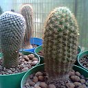 ���� ����, ��������, 85 ��� - ��������� 10 ���� 2012 � ������ ���� ����������