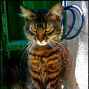  , , 36  -  30  2010       !!!=)