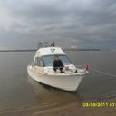 ���� �������, �����������-��-�����, 46 ��� - ��������� 22 ���� 2013 � ������ ���� ����������