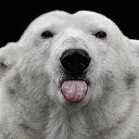 ���� �������, �������, 50 ��� - ��������� 10 ���� 2011 � ������ �����