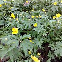 ���� ������, ������ - ��������� 25 ��� 2012 � ������ ���� ����������