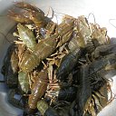 �� �� ������� �������