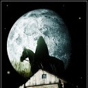 ���� ������, �����-���������, 54 ���� - ��������� 12 ��� 2012 � ������ �������