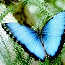 ���� ������, ������, 68 ��� - ��������� 15 ������ 2012 � ������ �������Ȼ