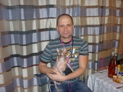 �����, ���������, 46 ���