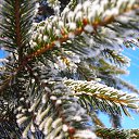 � ���� ��� �����... �� ������� ���� ����������