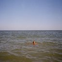 ���� ³����, ���������, 43 ���� - ��������� 24 ���� 2013 � ������ ���� ����������