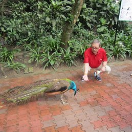 ������, ������, 73 ����