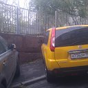 ���� �����, ������, 43 ���� - ��������� 21 ������� 2011 � ������ ���� ����������