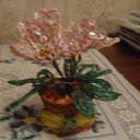 ���� �����������, �����-���������, 52 ���� - ��������� 6 ����� 2011 � ������ ���� ������ ��� ������� ����