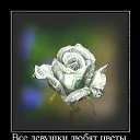   ( -        ,  -  25  2011   