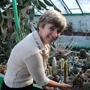   , , 62  -  11  2010   ,   ...